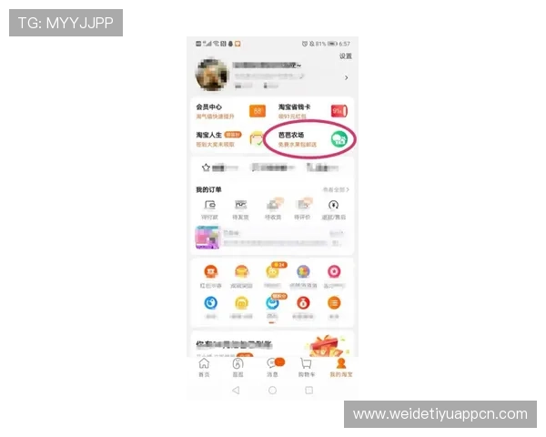 解决333体育官网app下载常见问题，确保你的游戏体验顺畅无忧