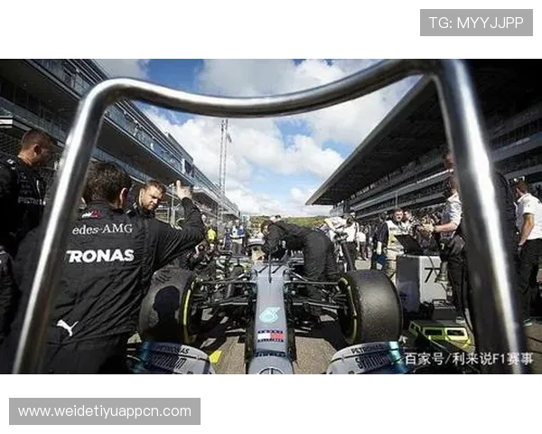 利来体育滚球盘安全性分析与风险控制指南保障您的资金安全与稳定盈利