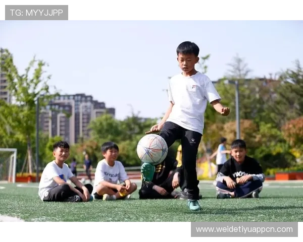 黄金甲体育：为不同人群提供个性化健身方案，满足多样化需求